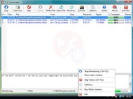 Flash FLV Video Downloader screenshot